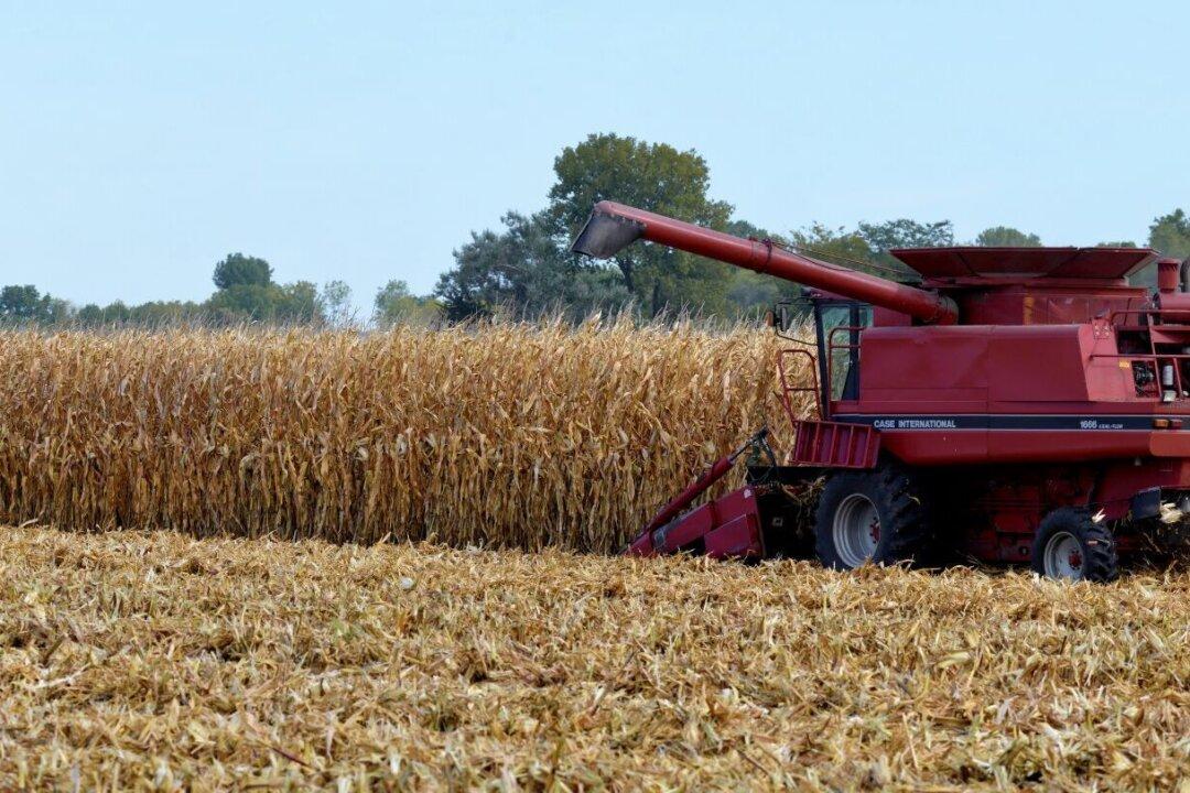 Walnut Grove: The Humble Birthplace of International Harvester