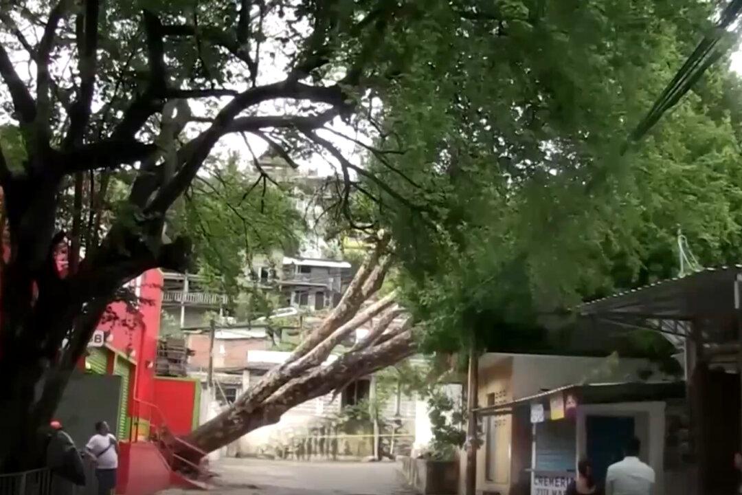 Kay Strengthens Into Hurricane After Killing 3, Could Intensify to Major Hurricane