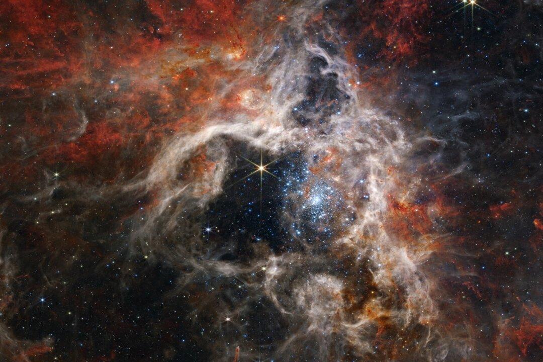Webb Space Telescope Captures the Tarantula Nebula