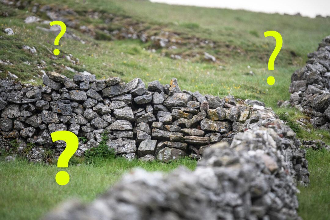 Can You Spot the Owls Perfectly Camouflaged in the Rock Piles in These Photos? How Many Can You See?