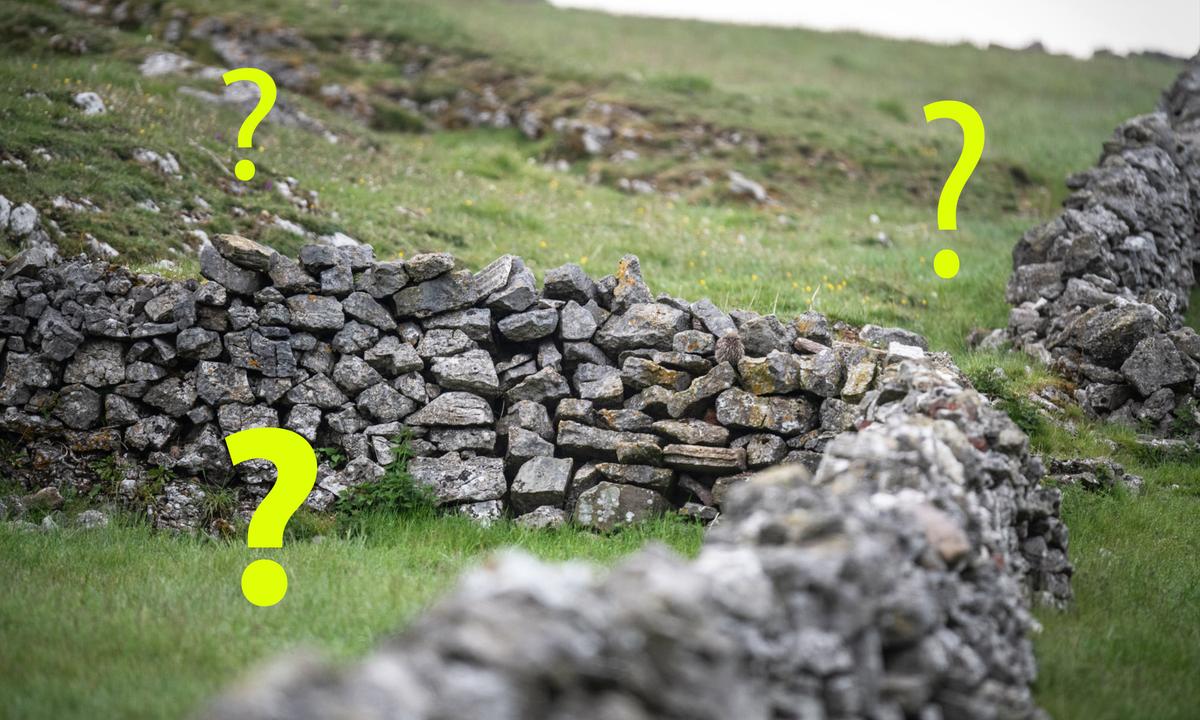 Can You Spot the Owls Perfectly Camouflaged in the Rock Piles in These Photos? How Many Can You See?