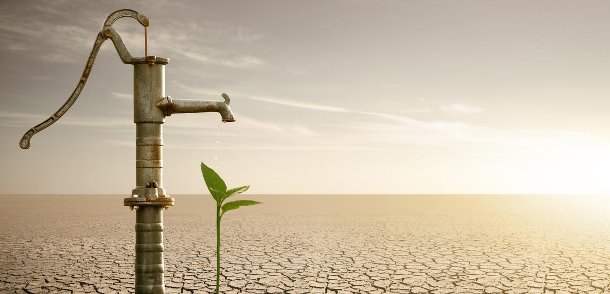 What’s Happening With Farmers and Food Prices