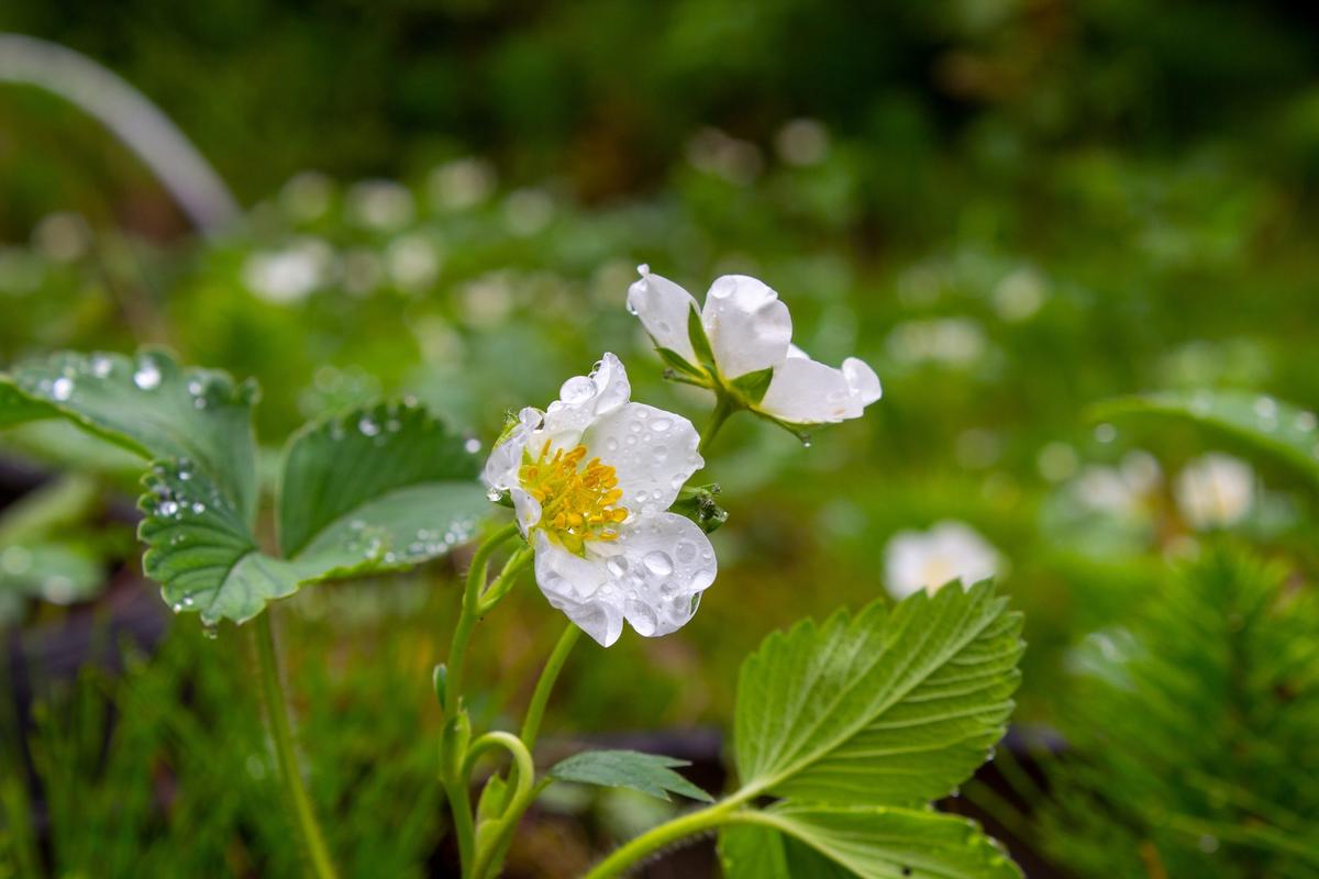 Things to Do to Strengthen the Respiratory System, Improve Skin