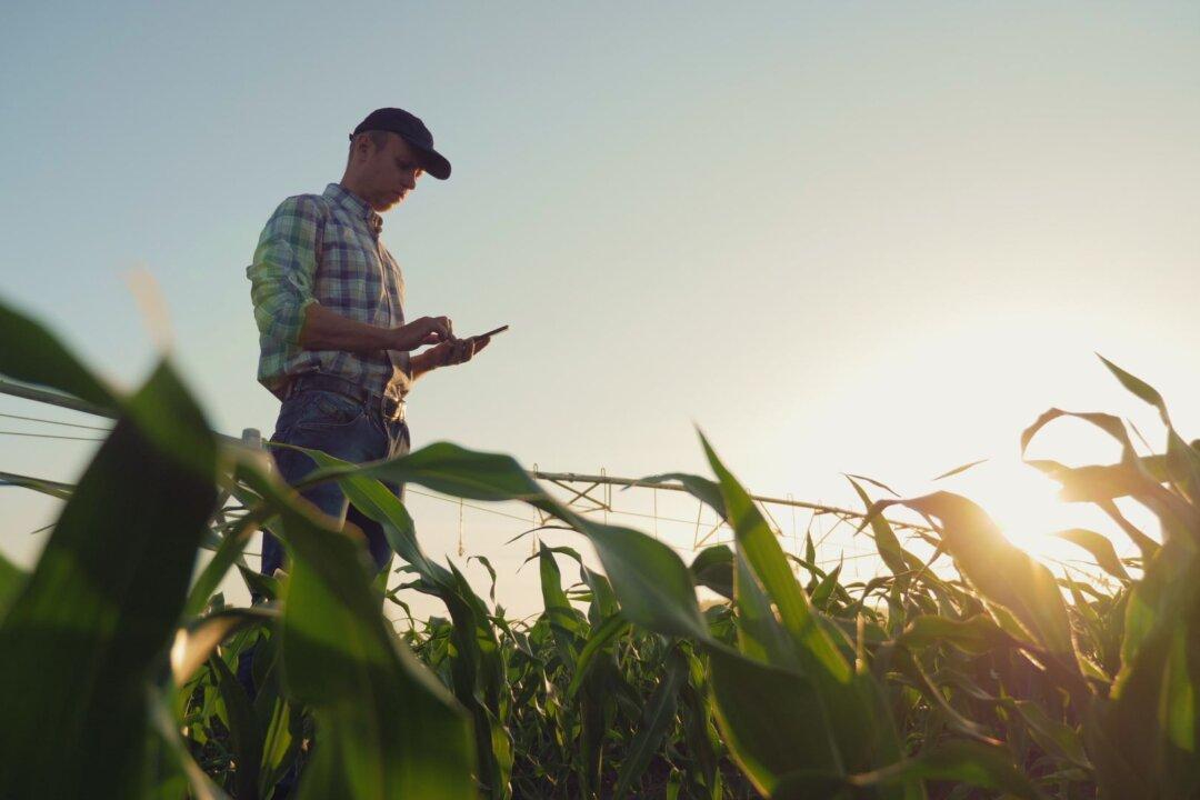 Europe’s Farmers Warn Sky-High Energy Costs This Winter Could Prompt Shortages