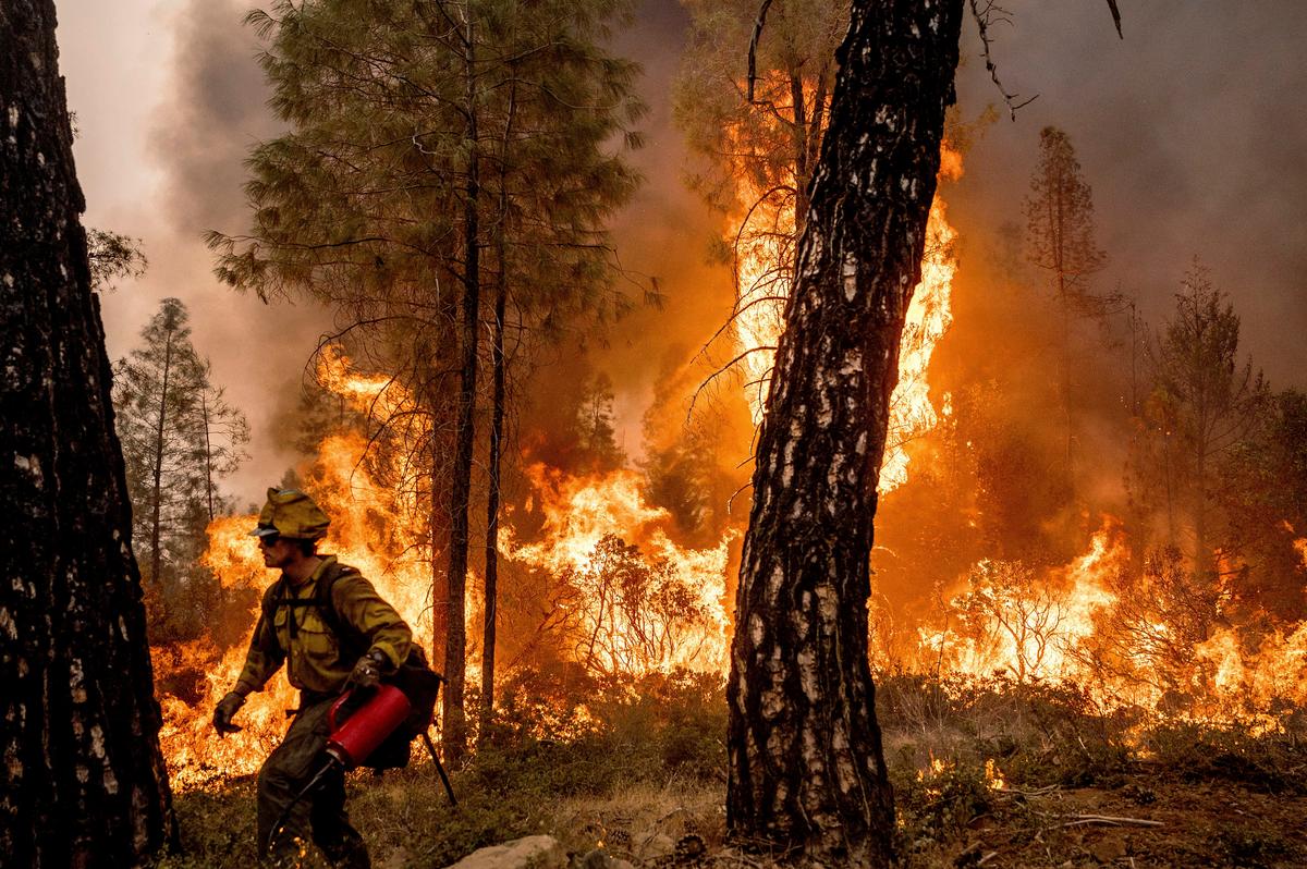‘Serial Litigant’ Testifies as Congress Debates Wildfire Fixes