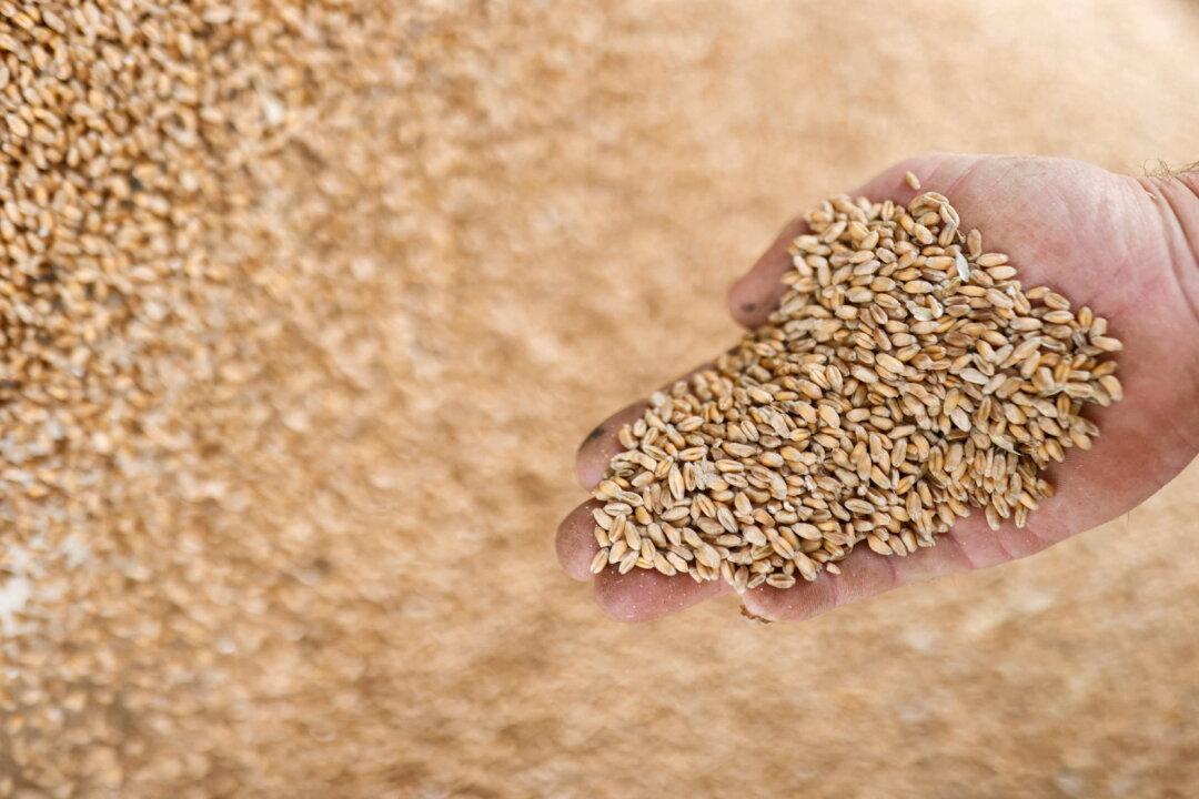 World Food Price Index Falls for 5th Month in August