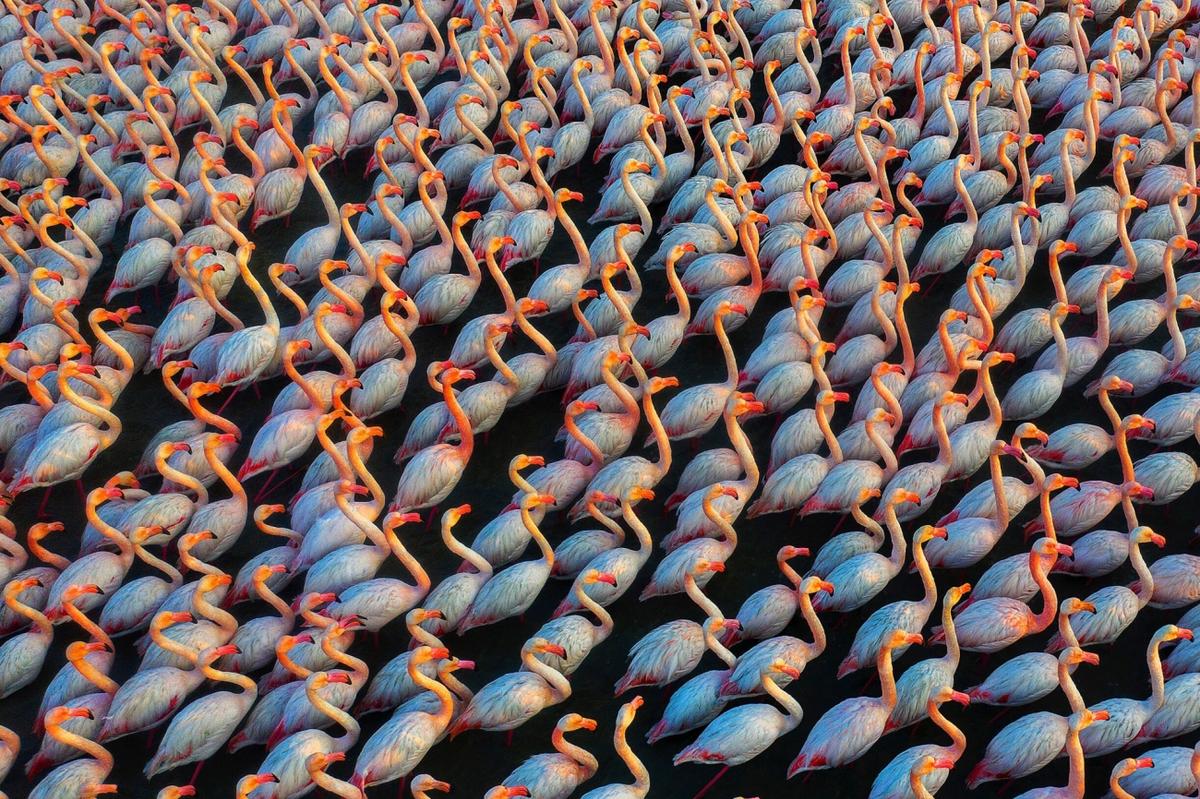 By Mehdi Mohebipor, Iran. (Mehdi Mohebipor/Drone Photo Awards 2022)