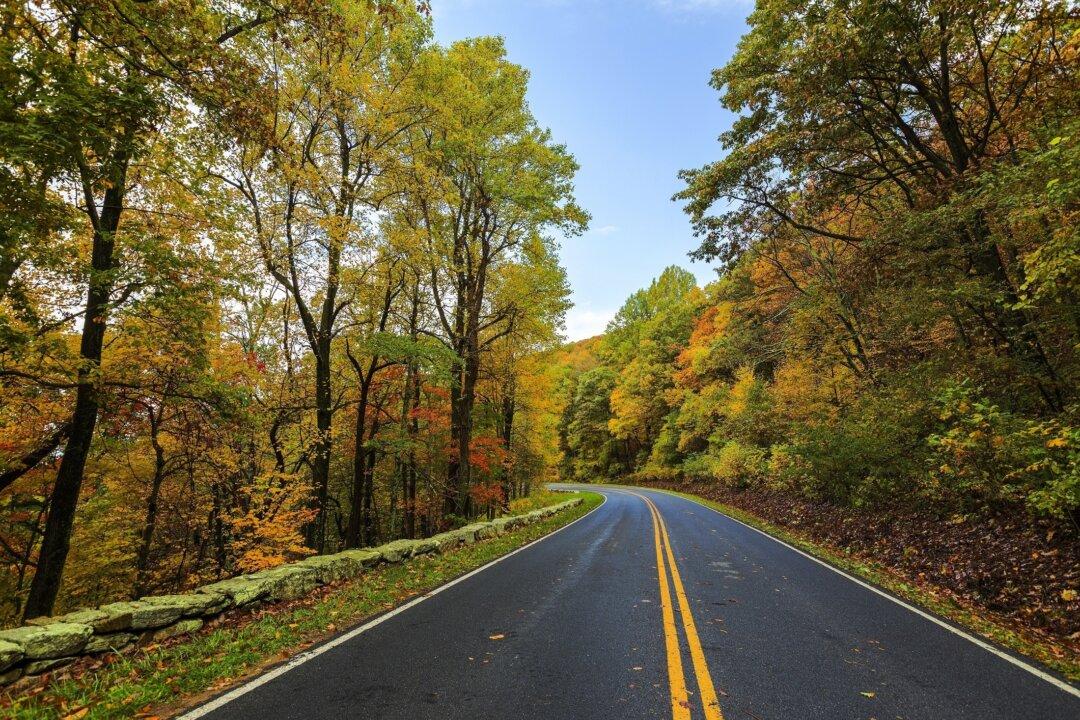 Fall Into Travel with Family Road Trips