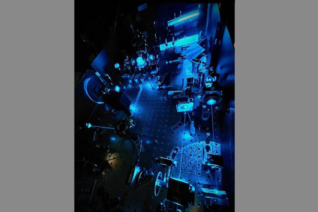 HKU Developed Ultrafast High Resolution Imaging of Blood Cells Circulating in the Brain