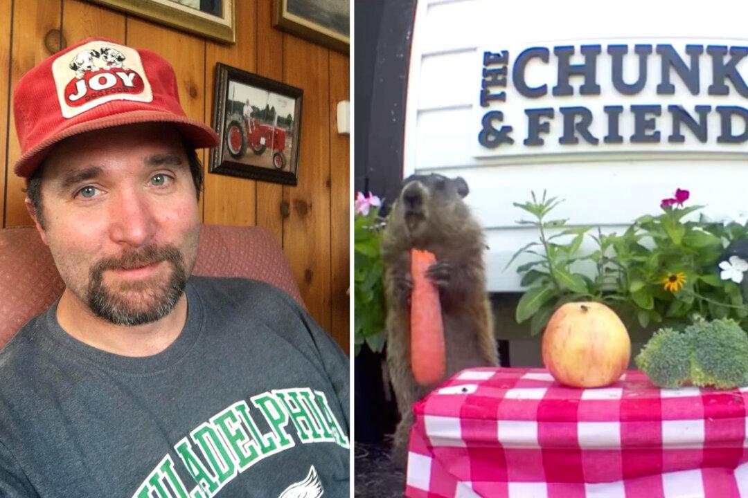 Man Builds a Garden for a Groundhog After Catching Him Eating All of His Crops