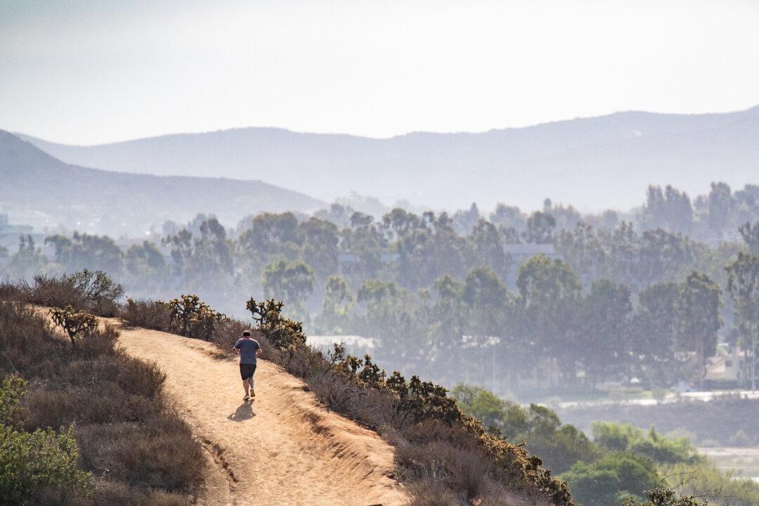 Decade-Long Newport City Council-Goer Runs for Office