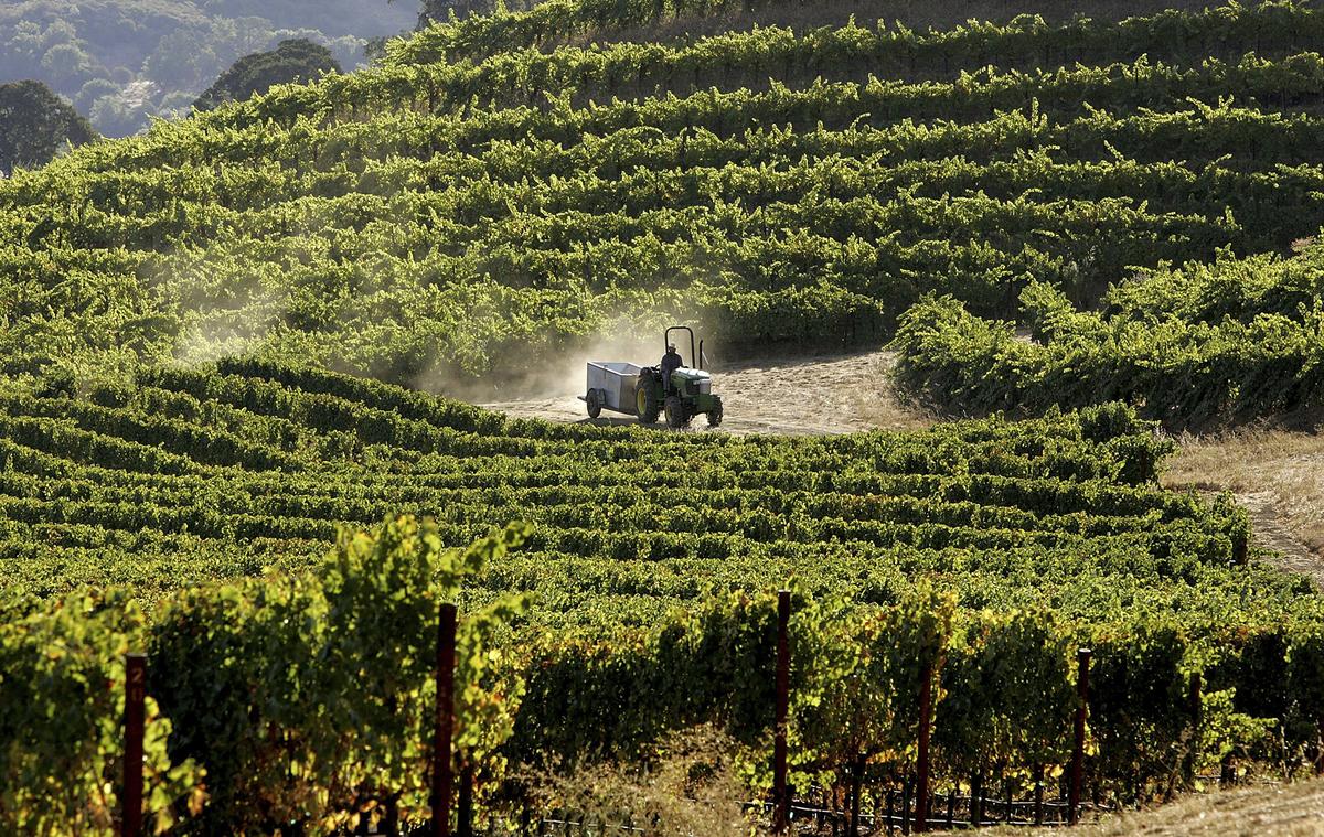 New Wine Project Rekindles Debate on IDA Reform in Orange County