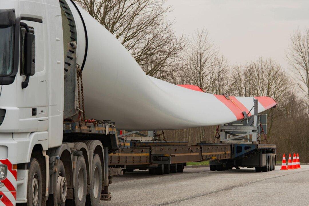 Experts Question Economic, Environmental Value of Wind Power