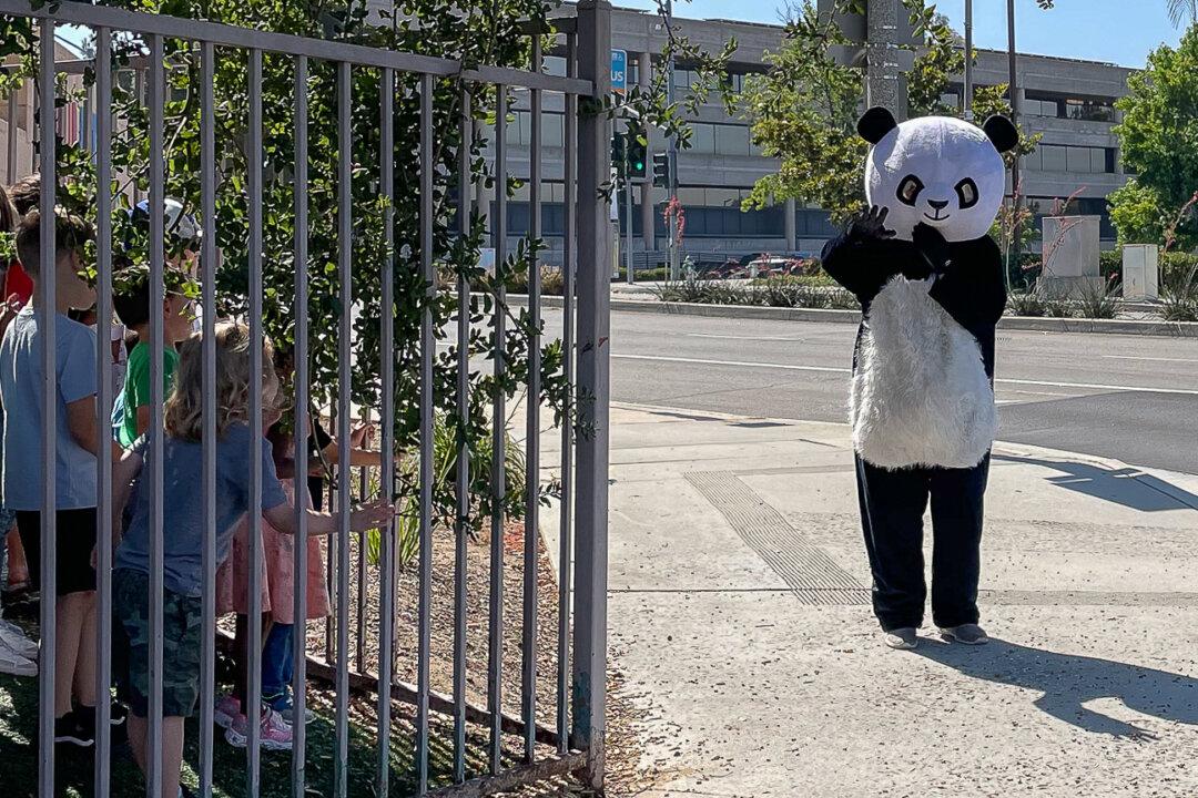 Brea’s Unofficial Mascot ‘Panda Man’ Brings Cheer to the Community