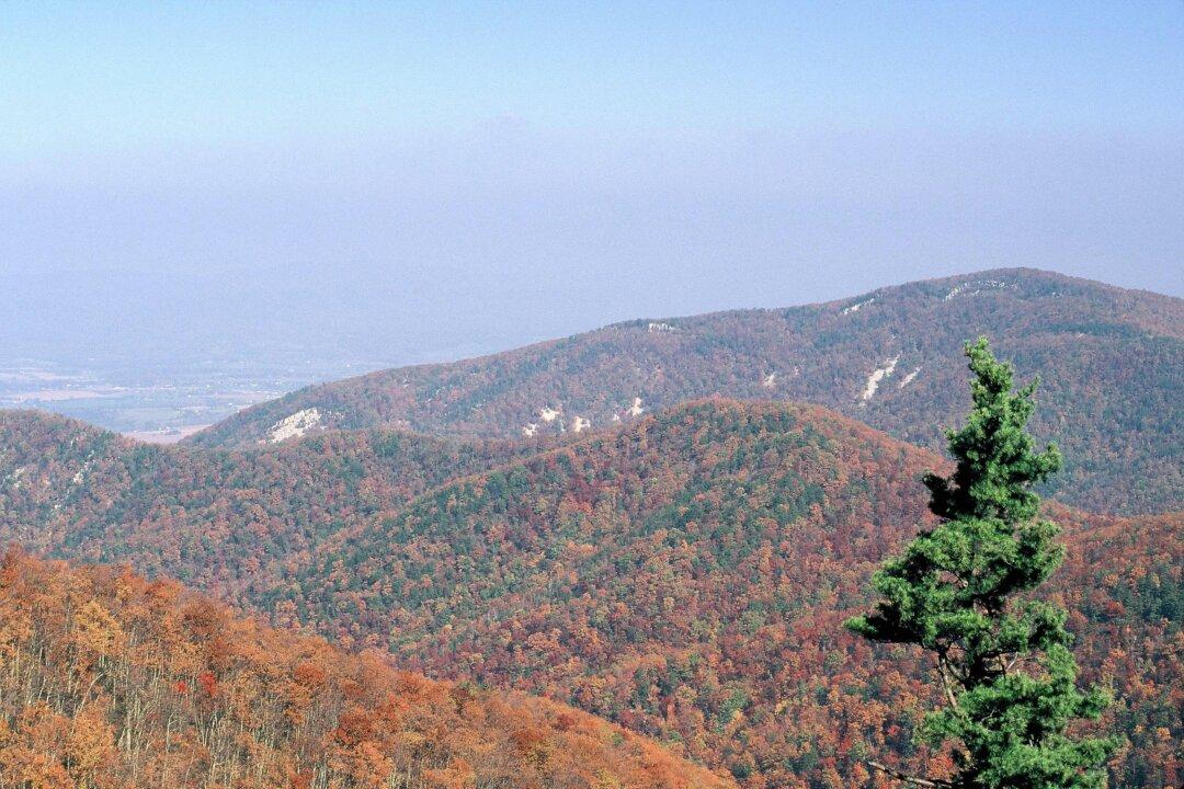 Denying Access to Energy: The New Normal?