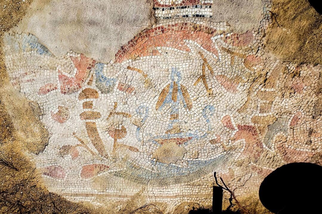 Soldiers Exhume 1,500-Year-Old Byzantine Convent With Breathtaking Mosaic Floor in Military Zone in Israel
