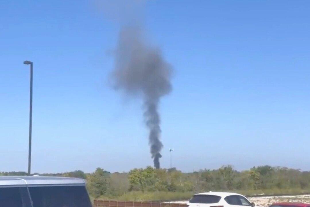 Cockpit Video Reveals Bird Caused Fiery Military Jet Crash in Texas Residential Area
