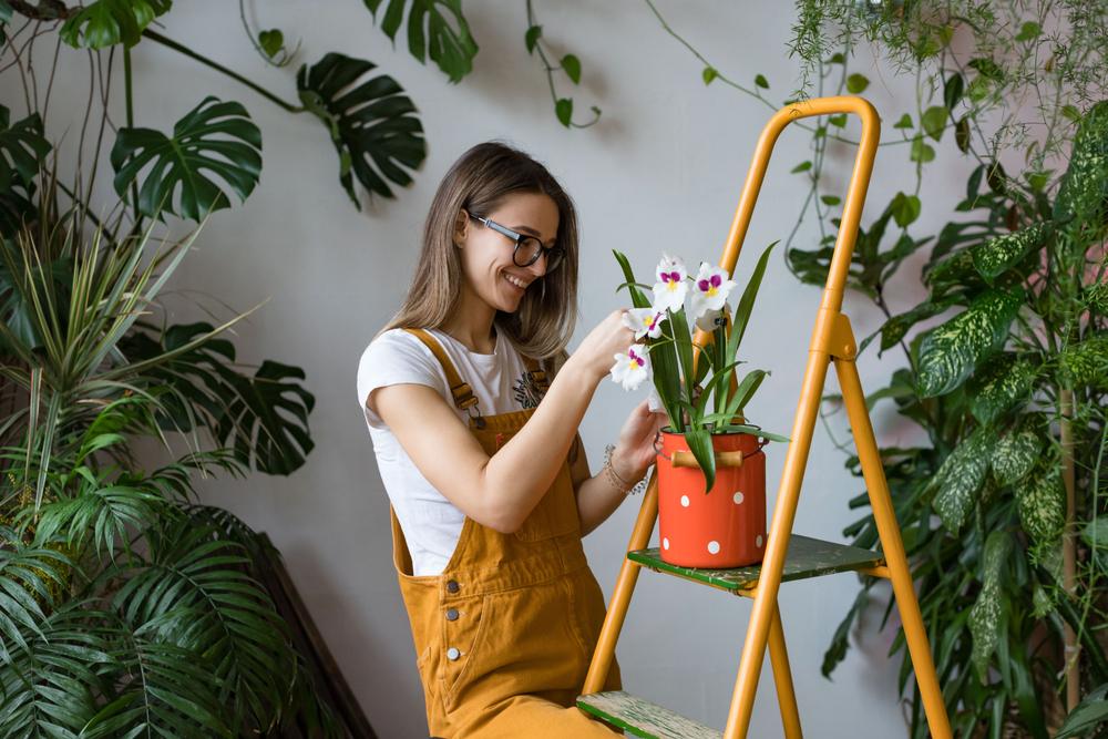 Beneficial Roommates: The Best Indoor Plants for Health and Wellness