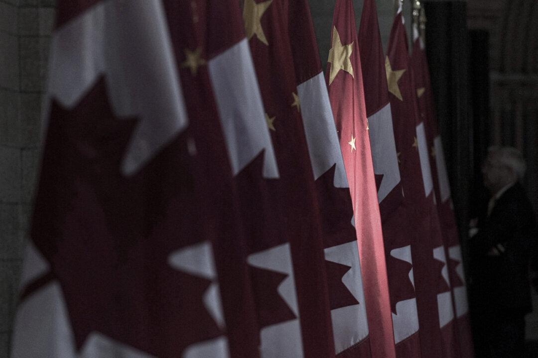 Suspending China Committee ‘Sends the Wrong Message’ Amid Interference Concerns, Diaspora Groups Say