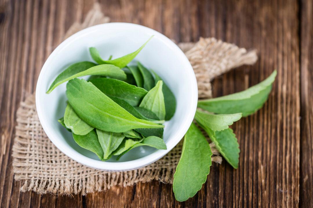 Stevia May Kill Lyme Disease Pathogens: Study