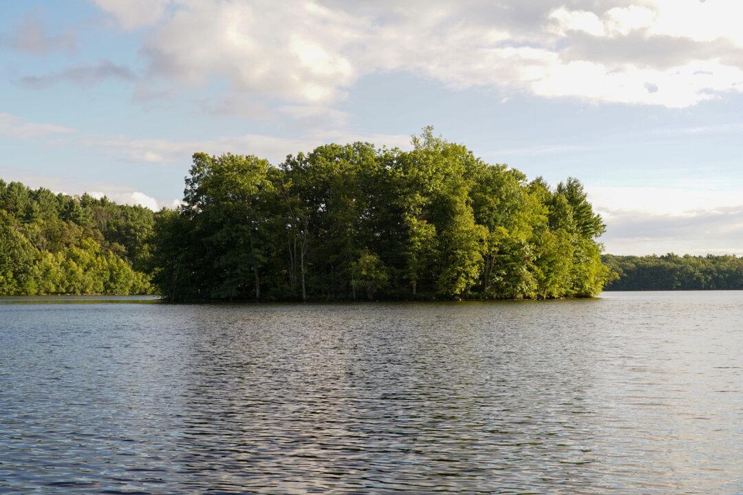 Middletown Mulls Comprehensive Algae Control to Enhance Water Quality