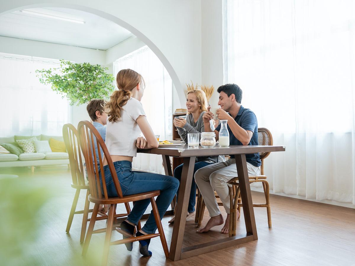 Strategies for Child and Family Mental Health