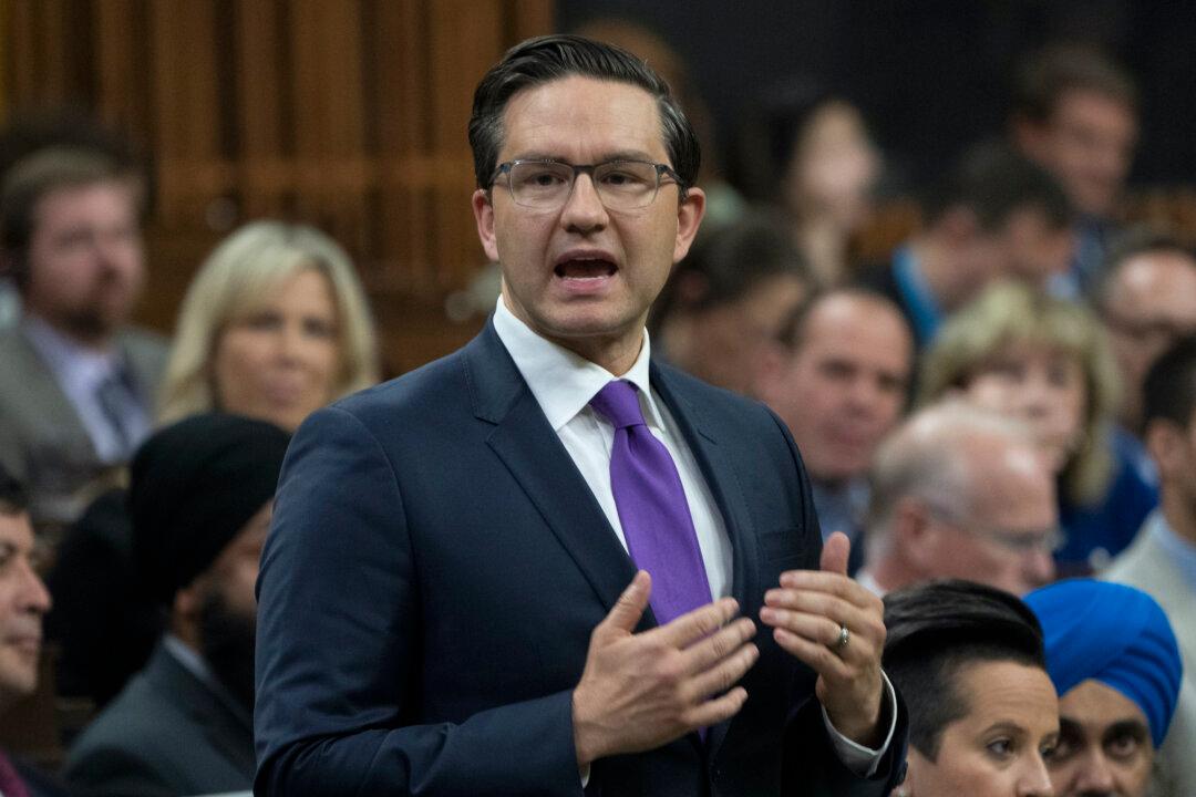 The Revolutionary Pierre Poilievre