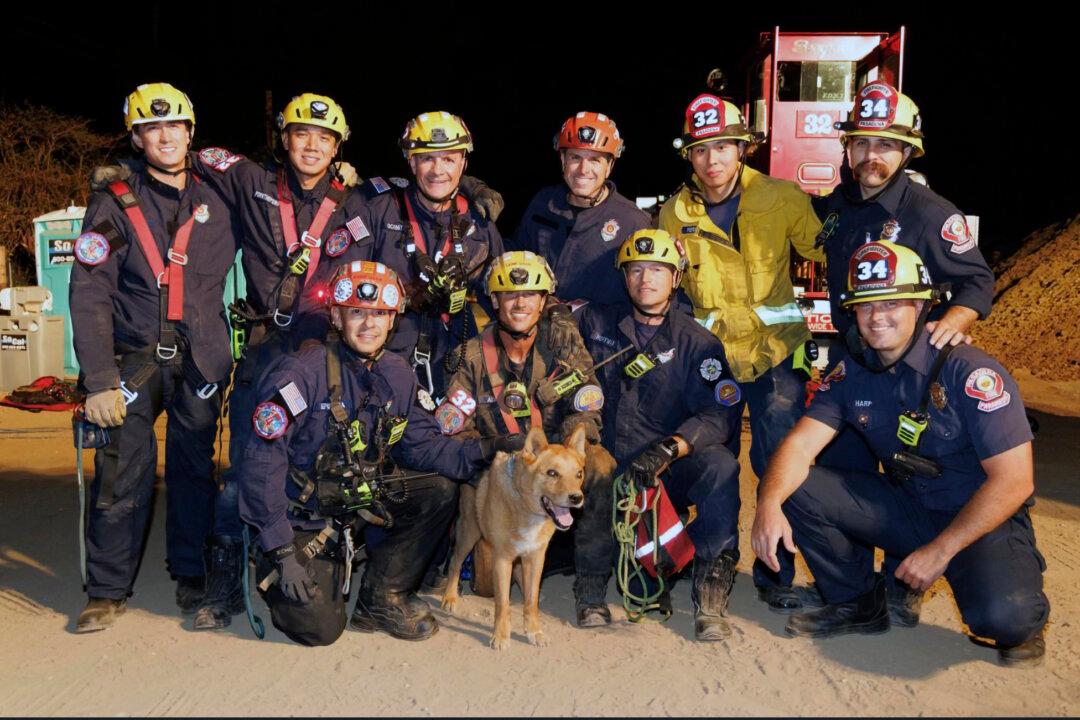 Blind Dog Rescued From Hole at California Construction Site