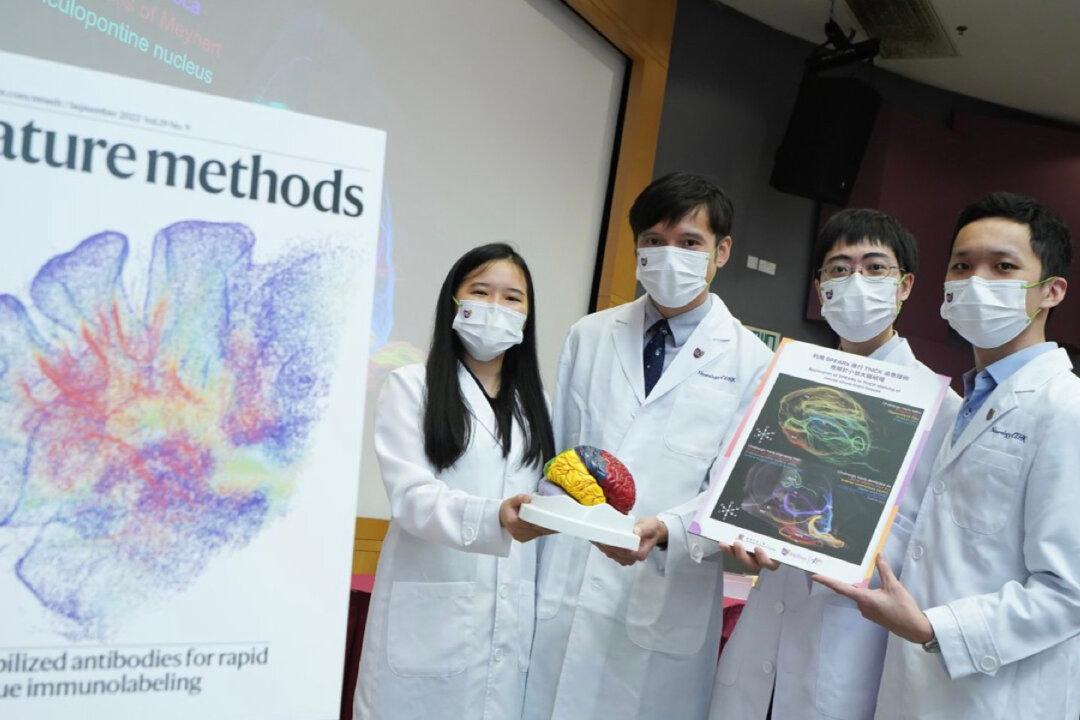 CUHK Develops New Technique to Deeply Visualize 3D Structure of Brain’s Biological Tissue