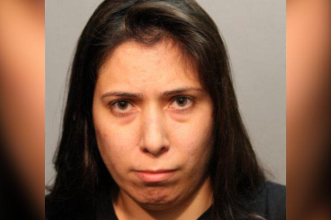 Boy Pulled From Lake After Aunt Allegedly Pushed Him Dies