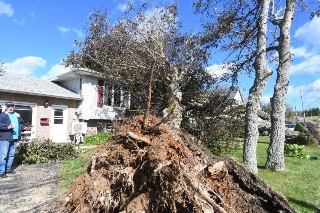 Fiona Fallout: Losses Being Tallied as Hundreds of Soldiers Arrive for Cleanup Duty