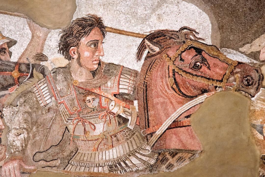 The Pandemic Response Unleashed Two Kinds of Nationalism