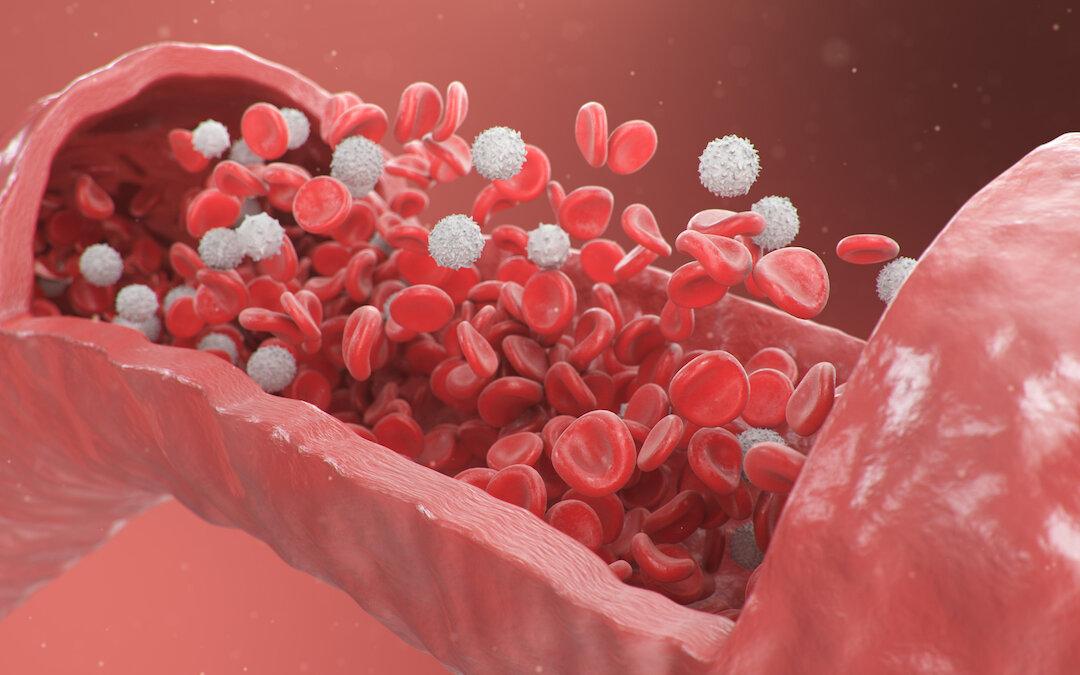 South Korean Researchers Develop Magnetic Nanoparticle Scavenger to Remove Pathogens from Blood