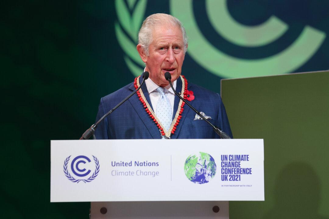 King Charles Will Not Attend Climate Summit on UK Government Advice