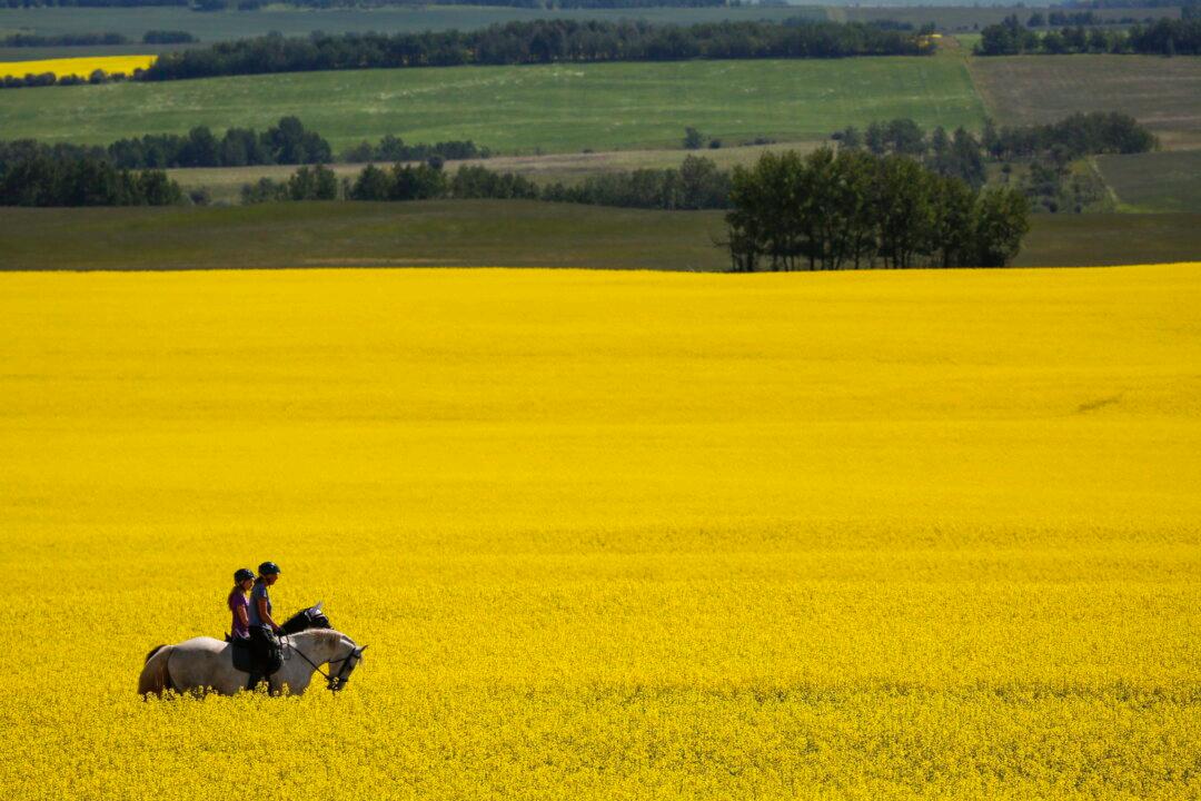 As EV Tariff Kicks In, Canada Eyes Asian Markets to Offset Potential Chinese Retaliation: Minister