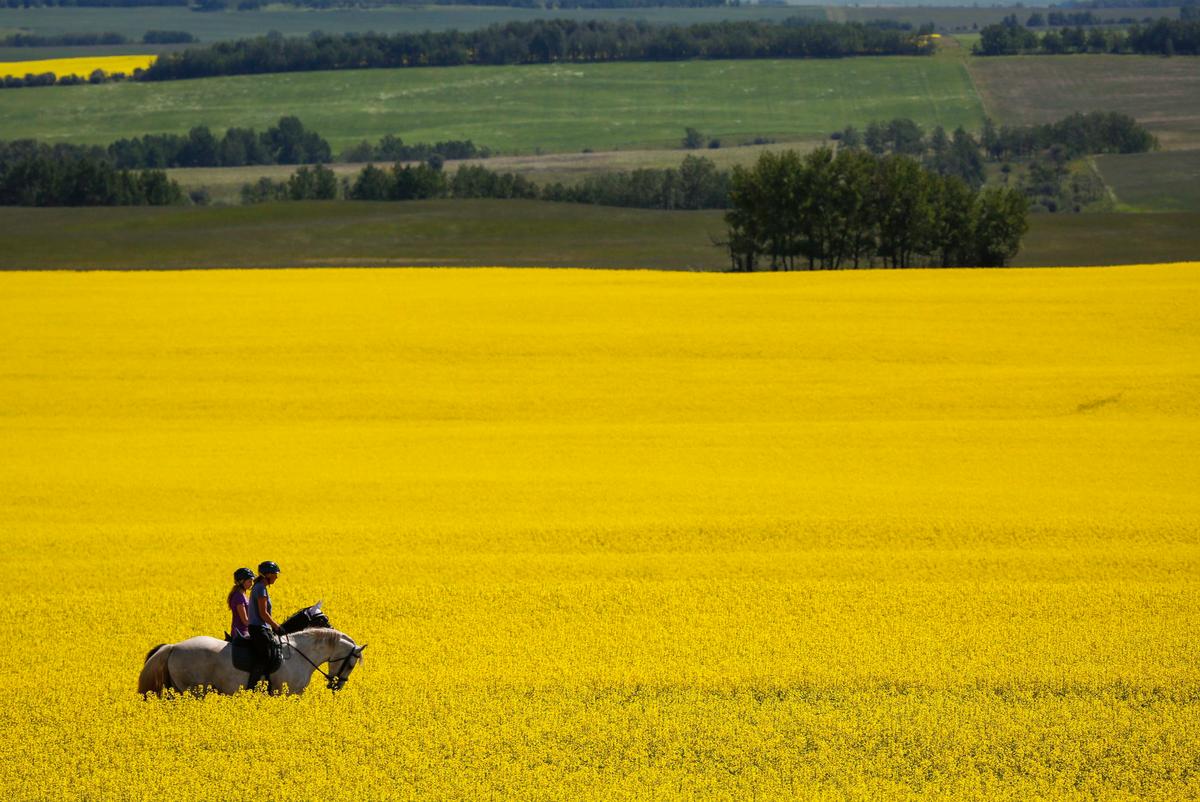 As EV Tariff Kicks In, Canada Eyes Asian Markets to Offset Potential Chinese Retaliation: Minister