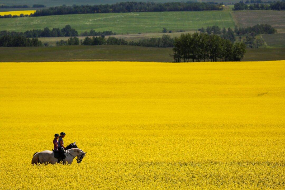 It’s the Right Time to Rethink ‘Post-Nation’ Canada