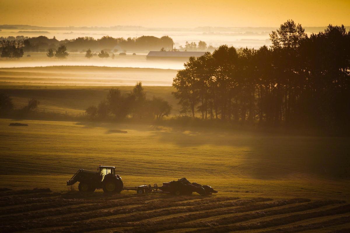 Canadian Farmers’ Mental Health Is Worse Than It Was 5 Years Ago: Study