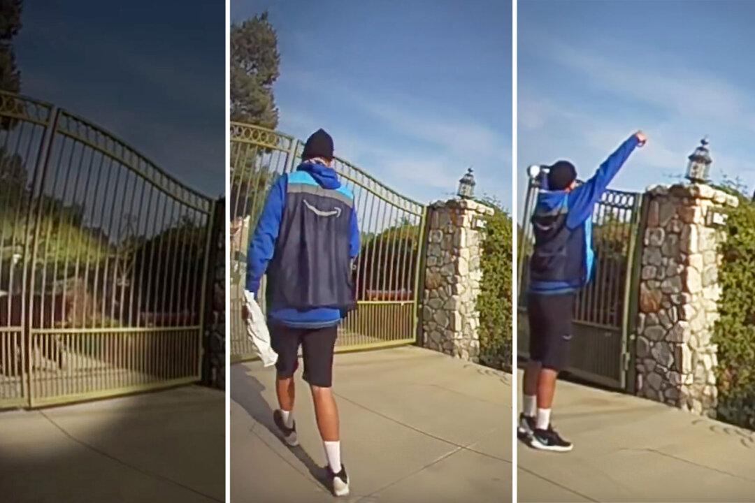 Doorbell Cam Spies Black Bear in Man’s Yard as Amazon Driver Arrives With Package—But He Still Makes Delivery