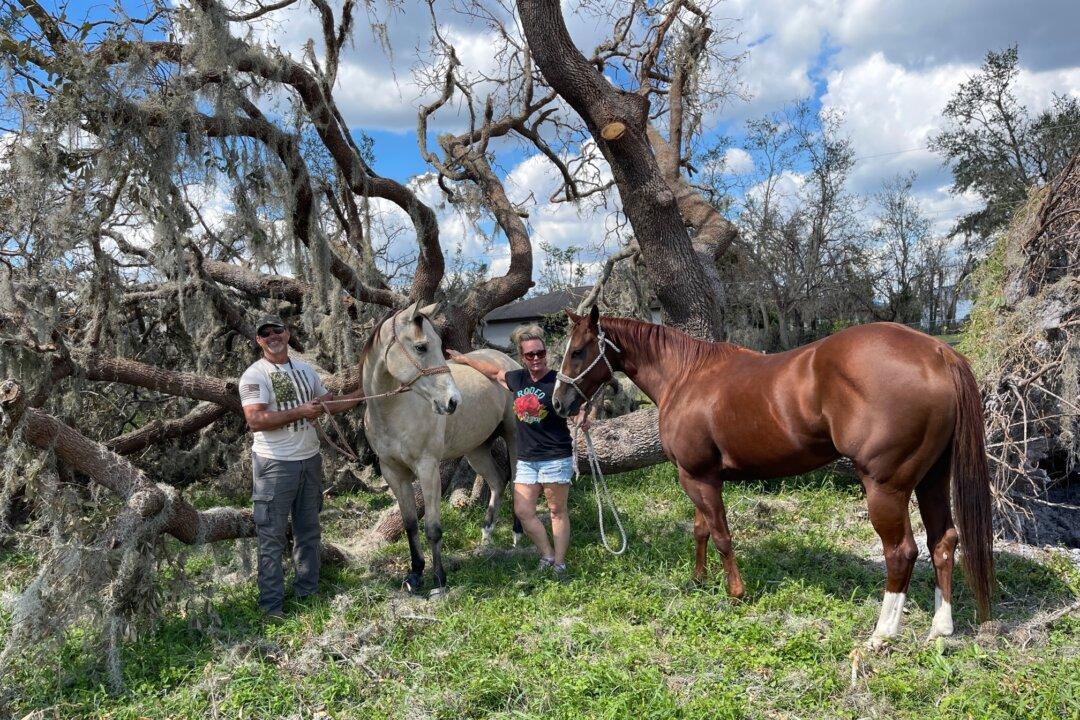 Animal Lovers Brave Brunt of Hurricane Ian for Pets’ Sake