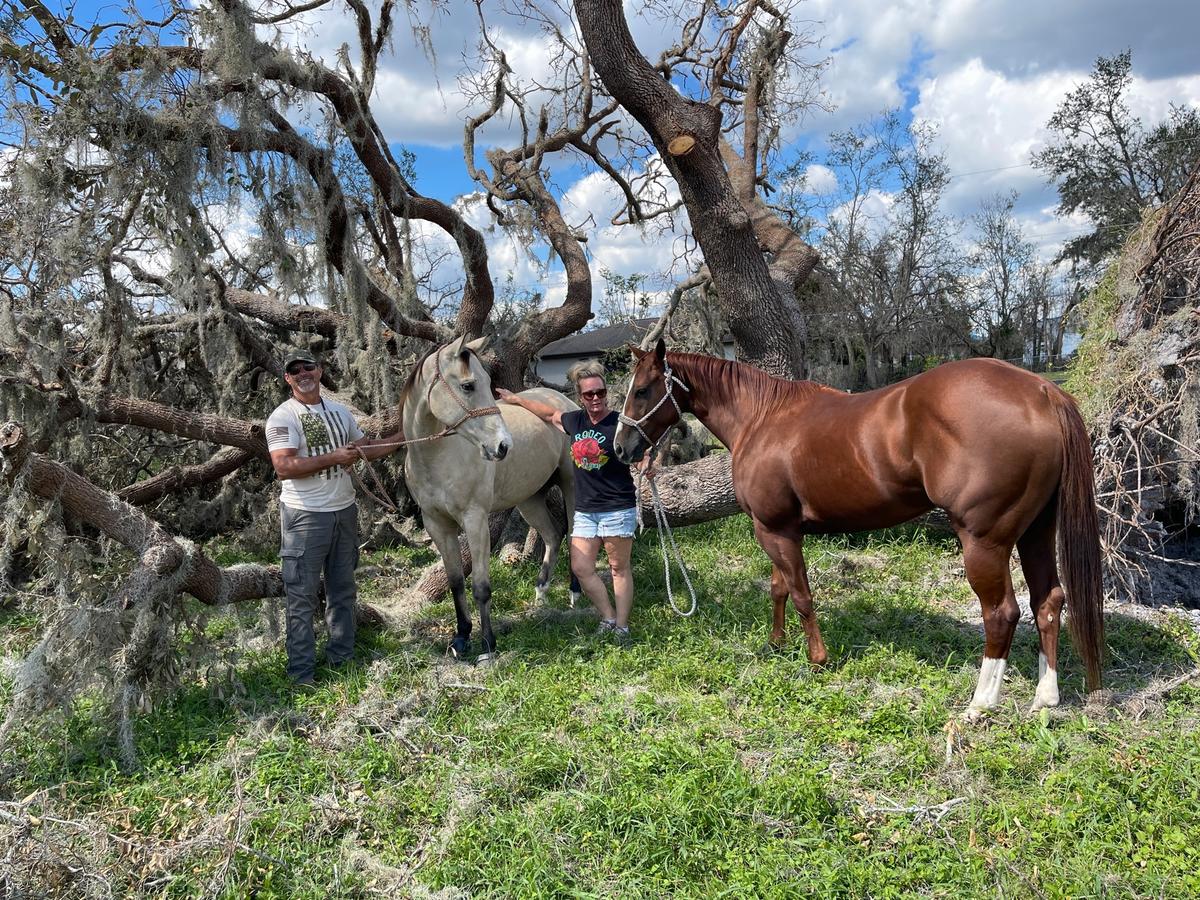 Animal Lovers Brave Brunt of Hurricane Ian for Pets’ Sake