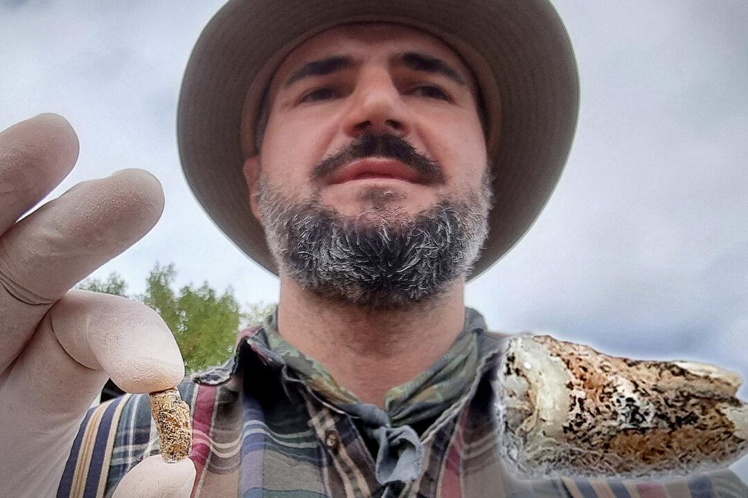 Archaeologists Find 1.8 Million-Year-Old Human Tooth Near Georgian Village—Among Oldest Human Remains on Earth