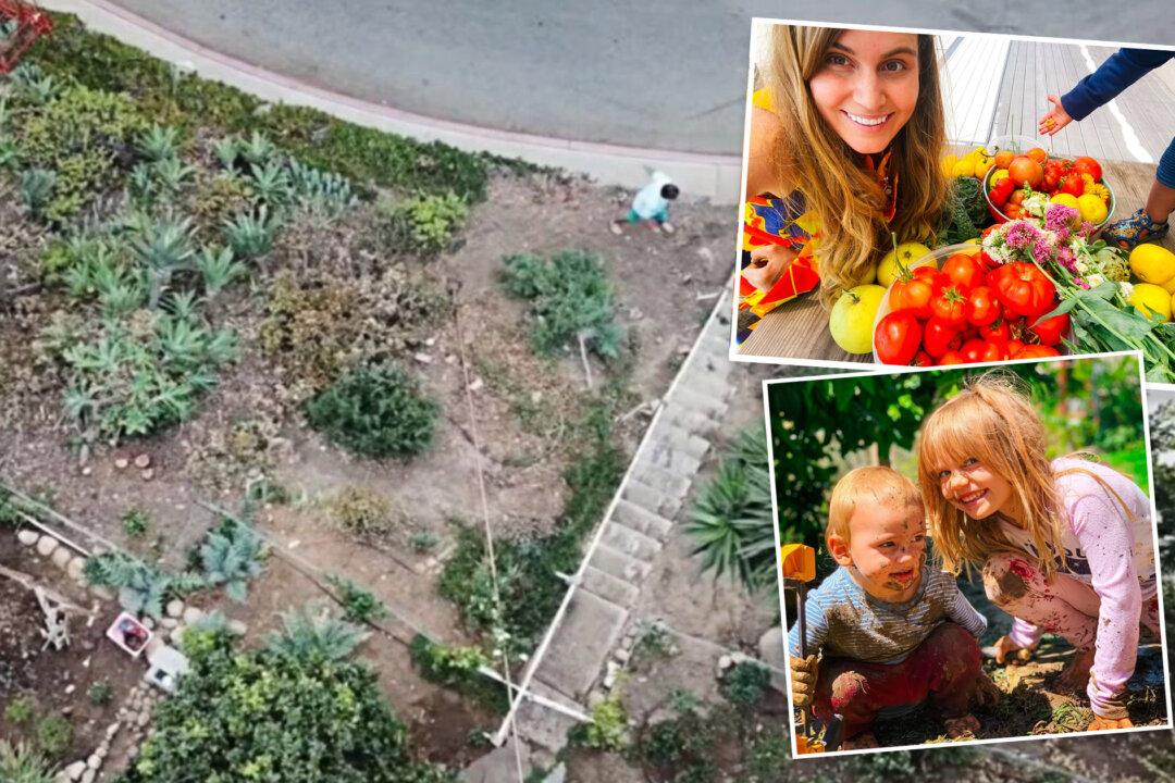 Couple Turn Rocky Hillside Into Mega Food Forest, Provide Homegrown Food to Community
