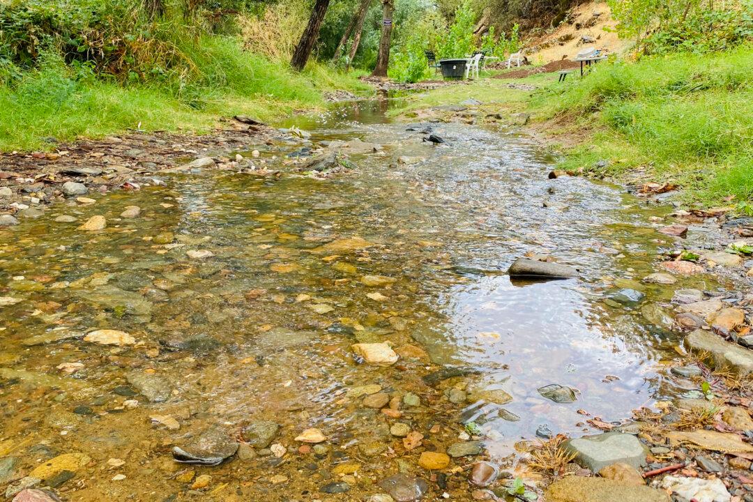 Panning for Gold in Jamestown