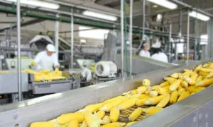 Who Needs Glyphosate?