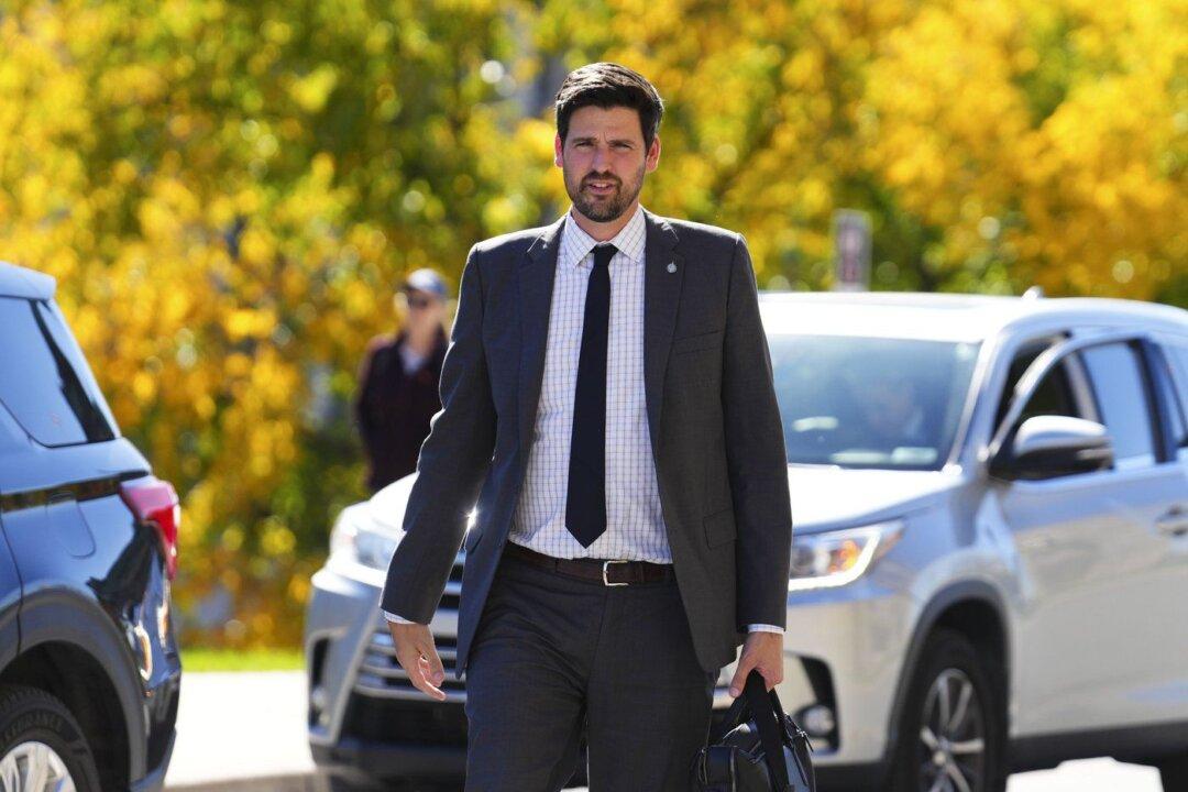 Minister Denies Being Influenced by McKinsey On Immigration Targets