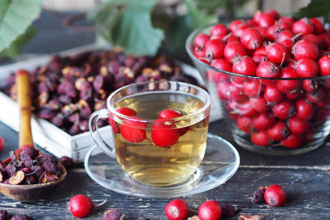 Healing the Heart With Hawthorn