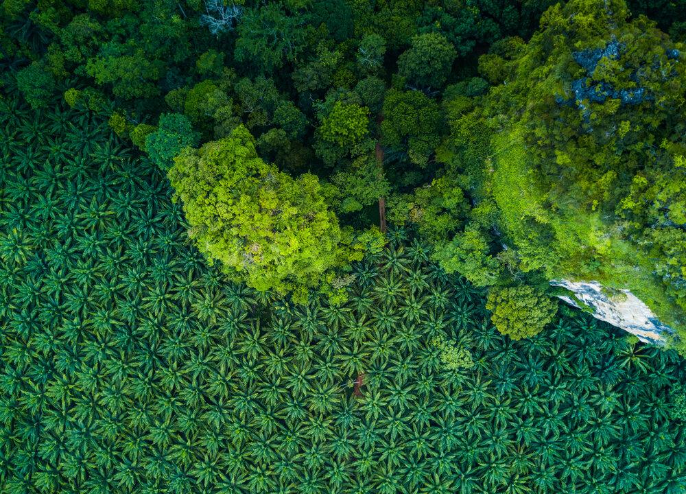 This Everyday Ingredient Increases Risk of Cancer and Heart Disease—Here’s How to Avoid It