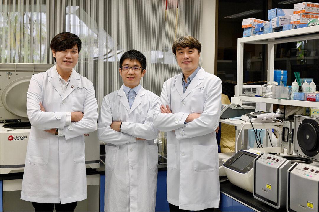 CUHK Unlocks Cancer Pain Mechanism and Identifies Therapeutic Target MNT for Precise Treatment