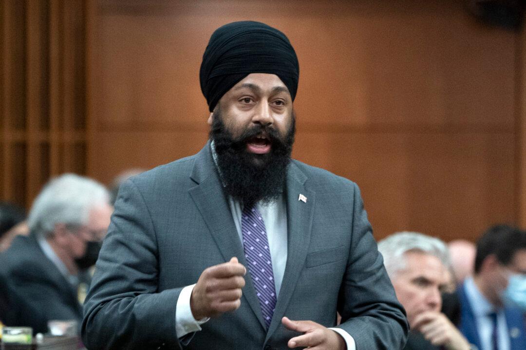 New Tory Finance Critic Says ‘Band-aid Solutions’ Won’t Solve Inflation